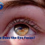 چگونه چشم سالم تصاویر را متمرکز میکند؟